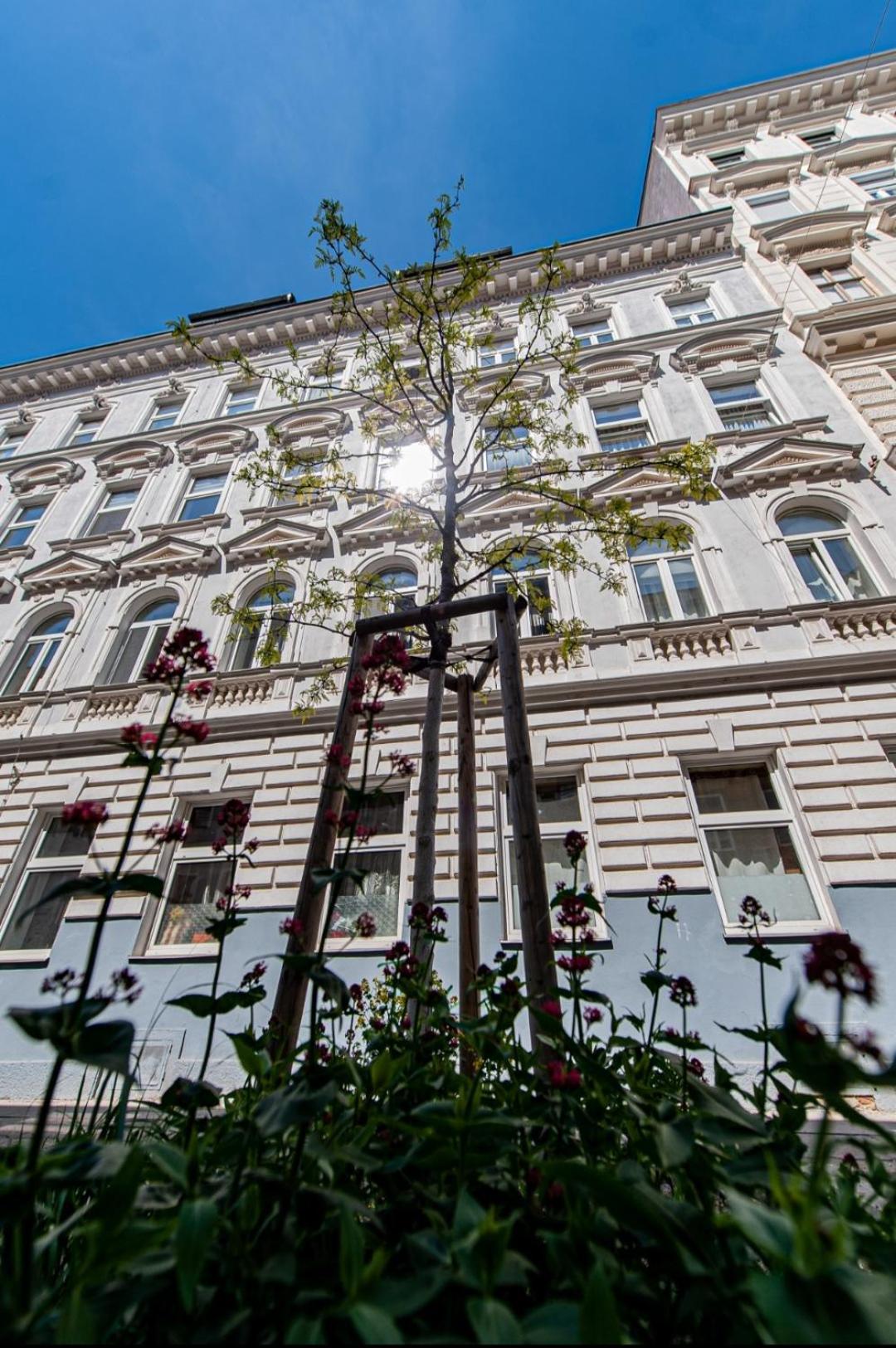 Apartment With Balcony Near Augarten Wien Ngoại thất bức ảnh